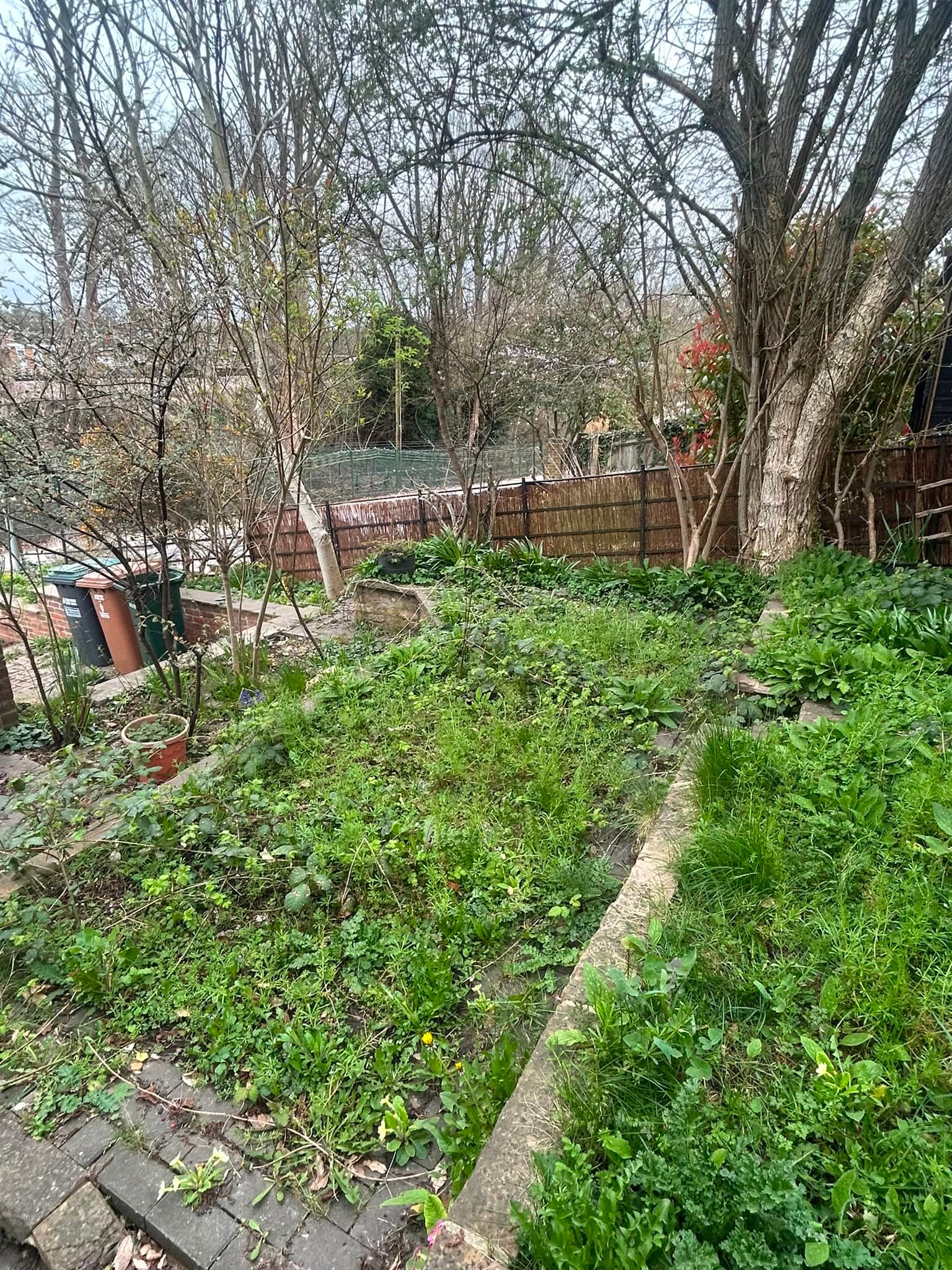 Gardening & Shrubbery — before