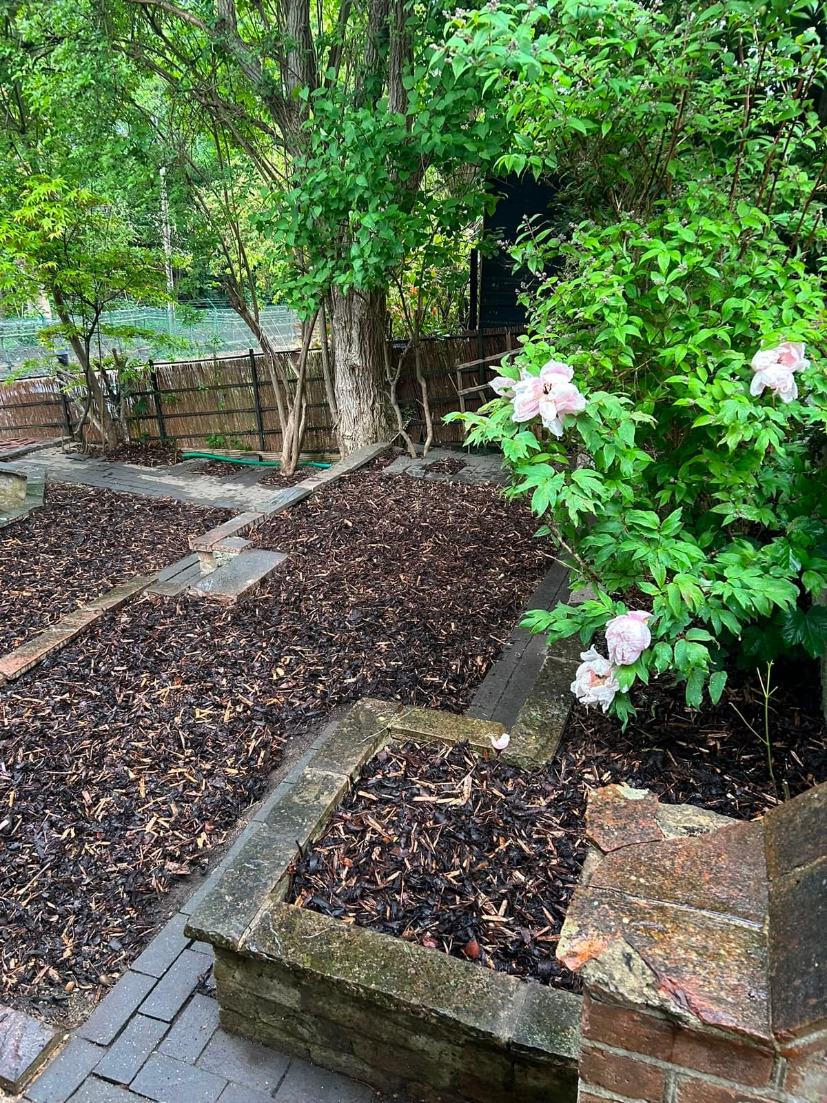 Gardening — after
