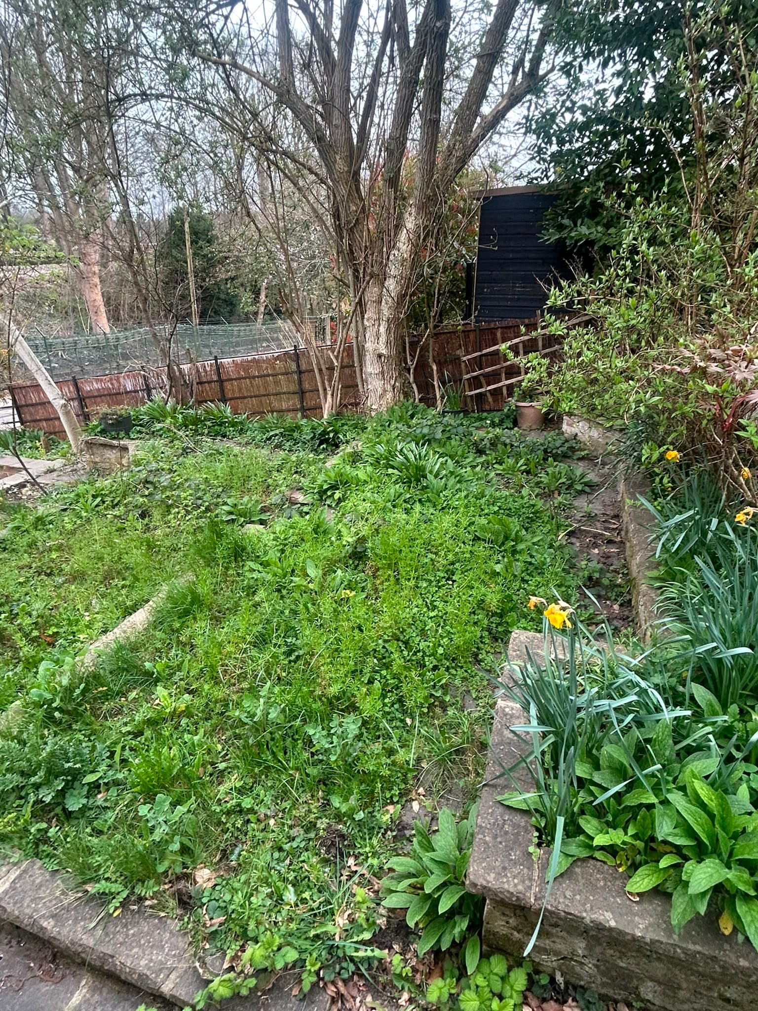 Gardening — before