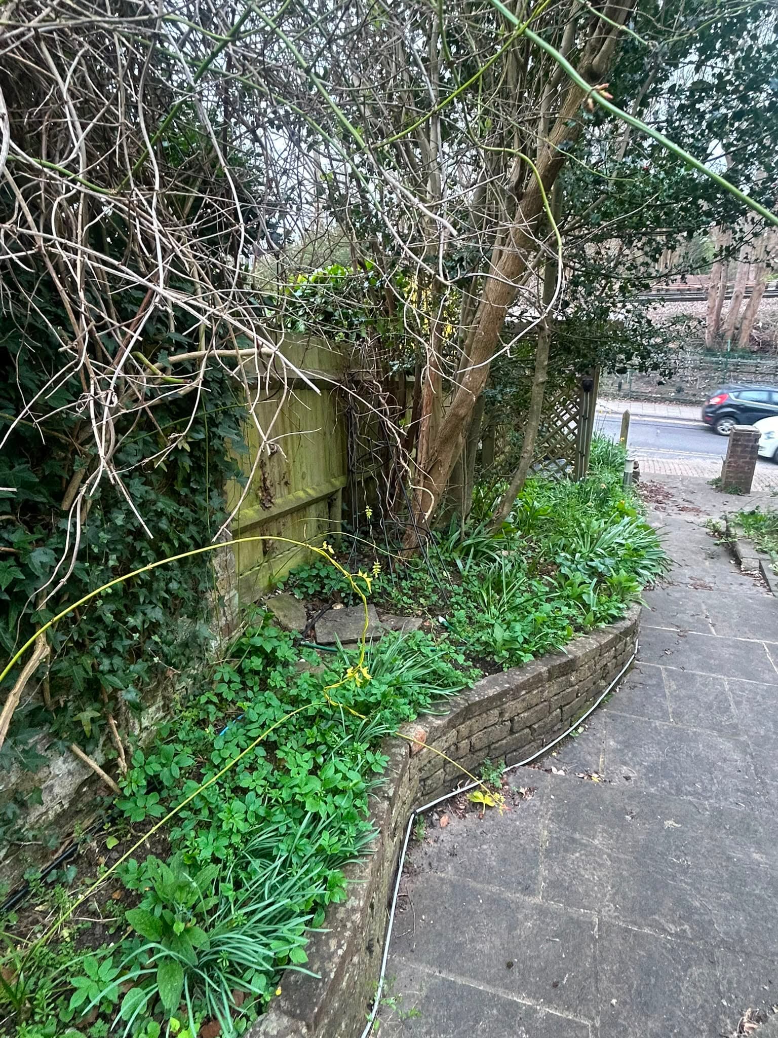Gardening — before