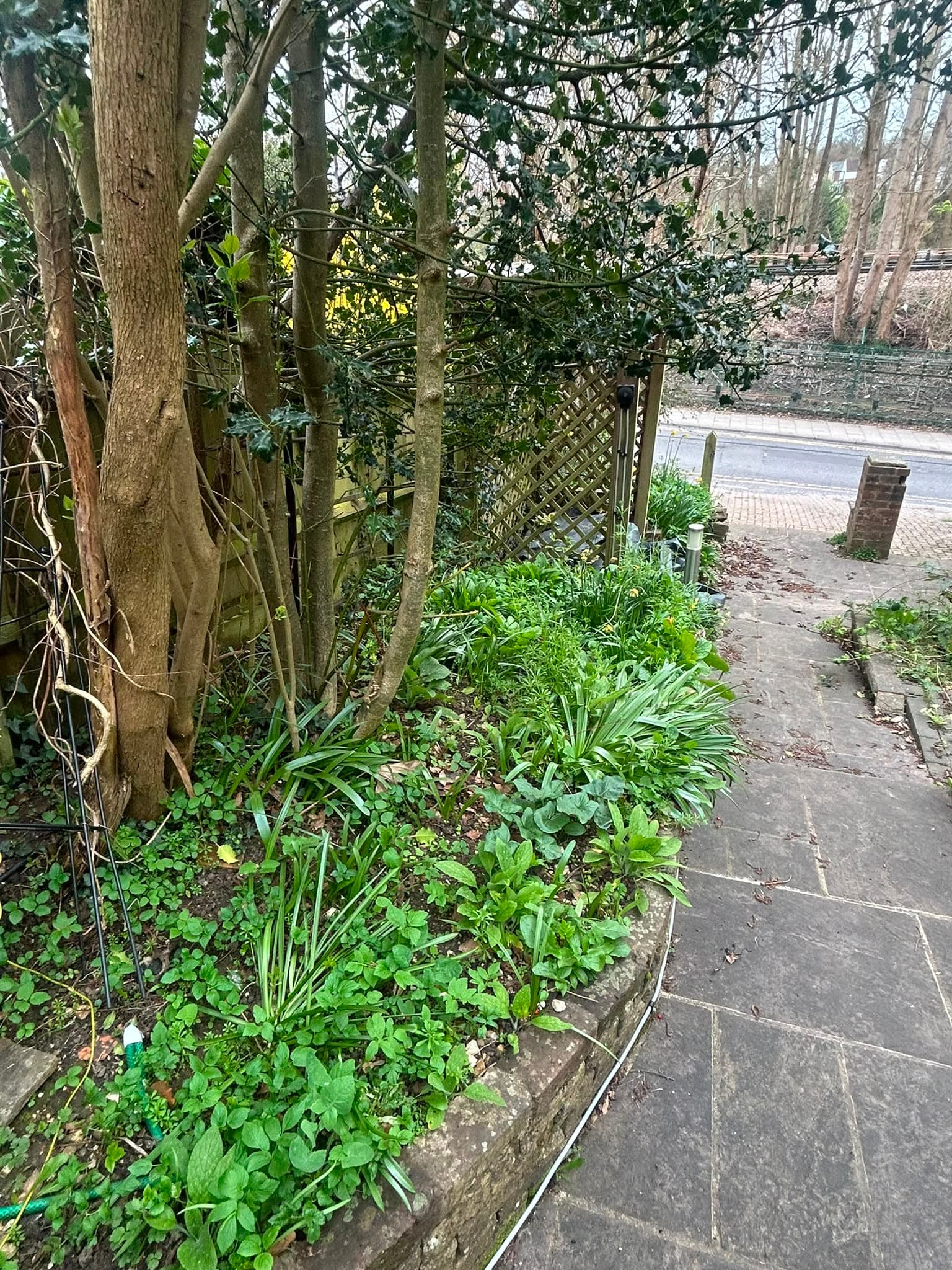 Gardening — before