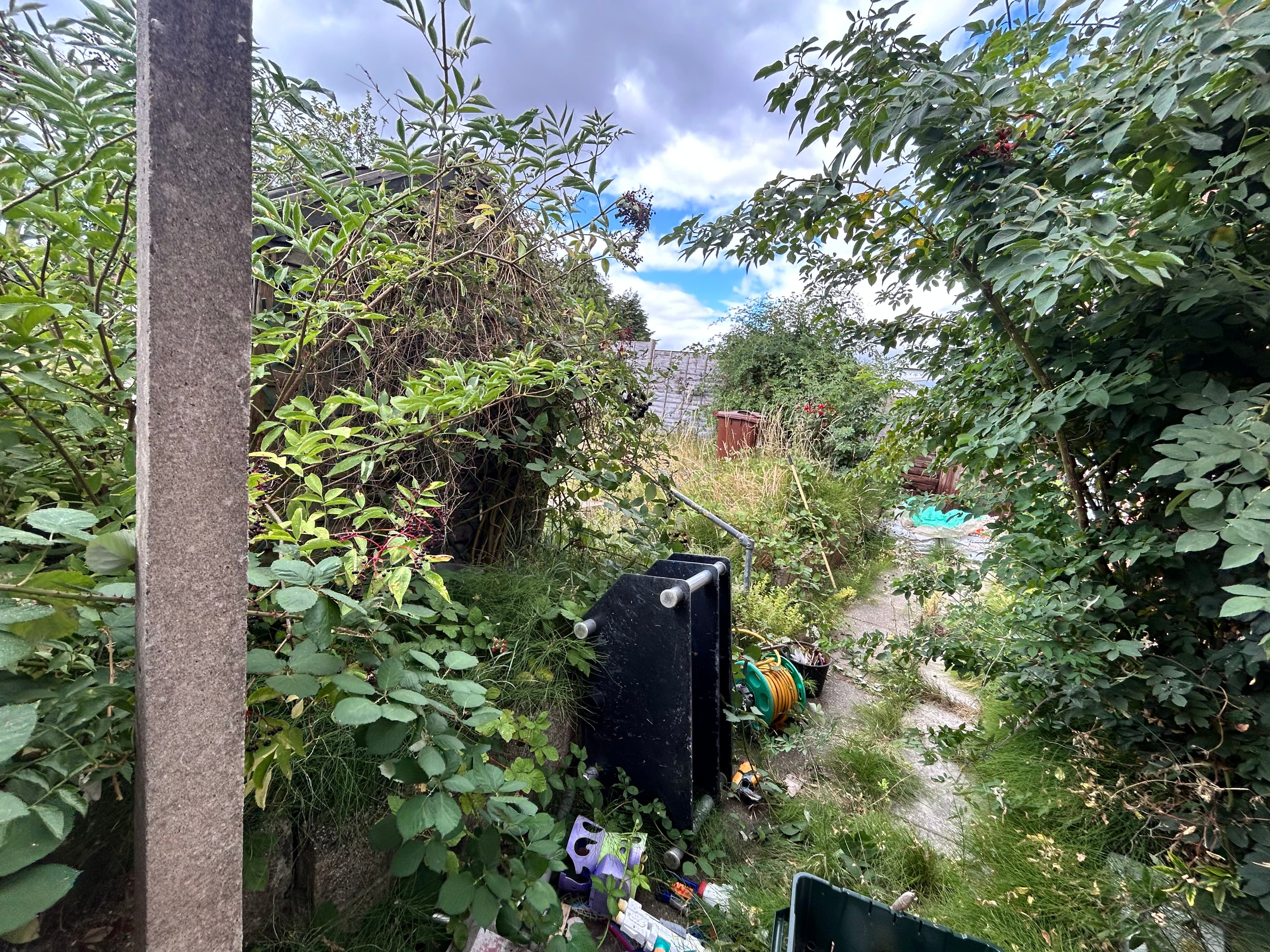 Gardening — before