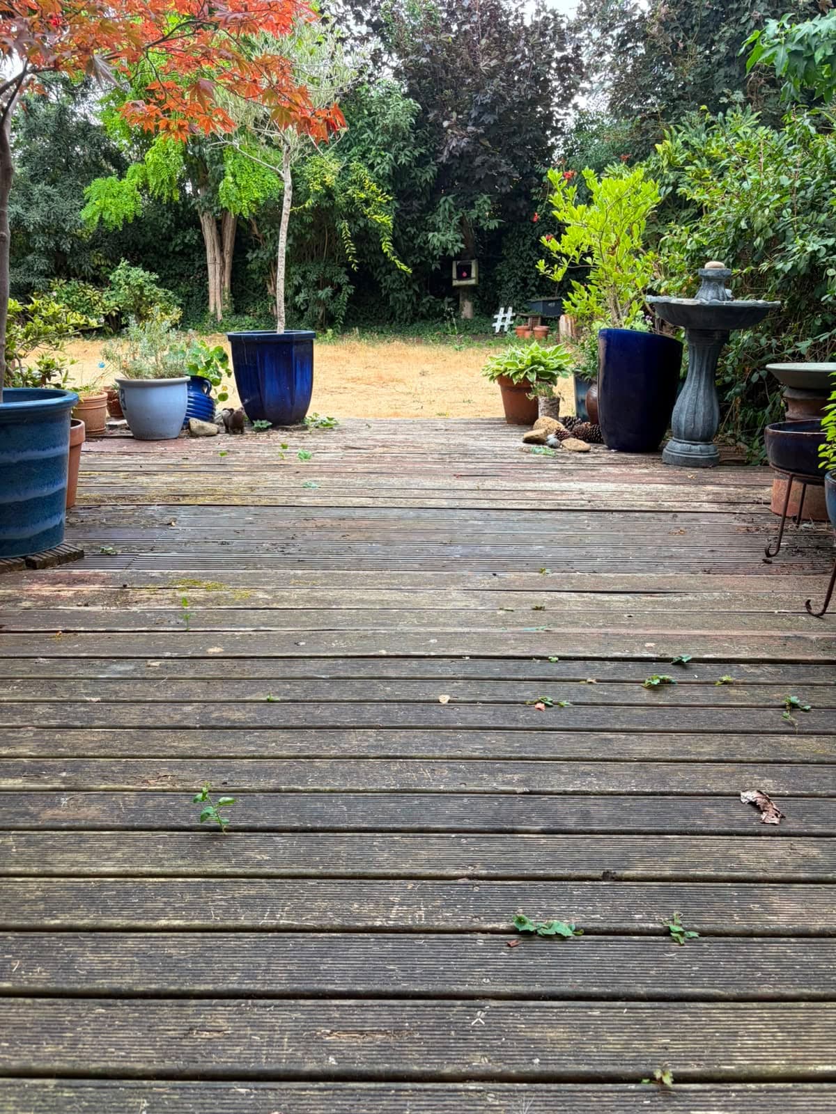 Gardening — before